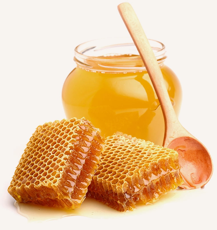 عسل گون ترنجبین (بدون تغذیه)